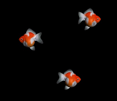 Goldfish screensaver in action